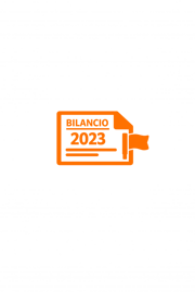 icona bilancio 2023