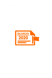 icona bilancio 2020