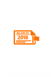 icona bilancio 2018