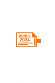 icona bilancio 2024