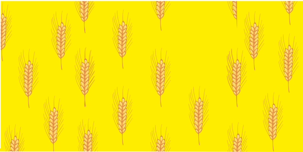 spighe sfondo pane giallo testo