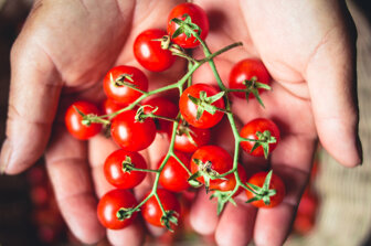 cropped-hands-holding-cherry-tomatoes-wicker-basket.jpeg