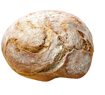 freepik-export-202407071800145fuv