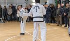 pic_2681 pic_2681