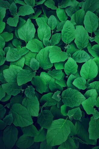 lawrence-kayku-zvkr8wadhpc-unsplash.jpeg lawrence-kayku-zvkr8wadhpc-unsplash.jpeg