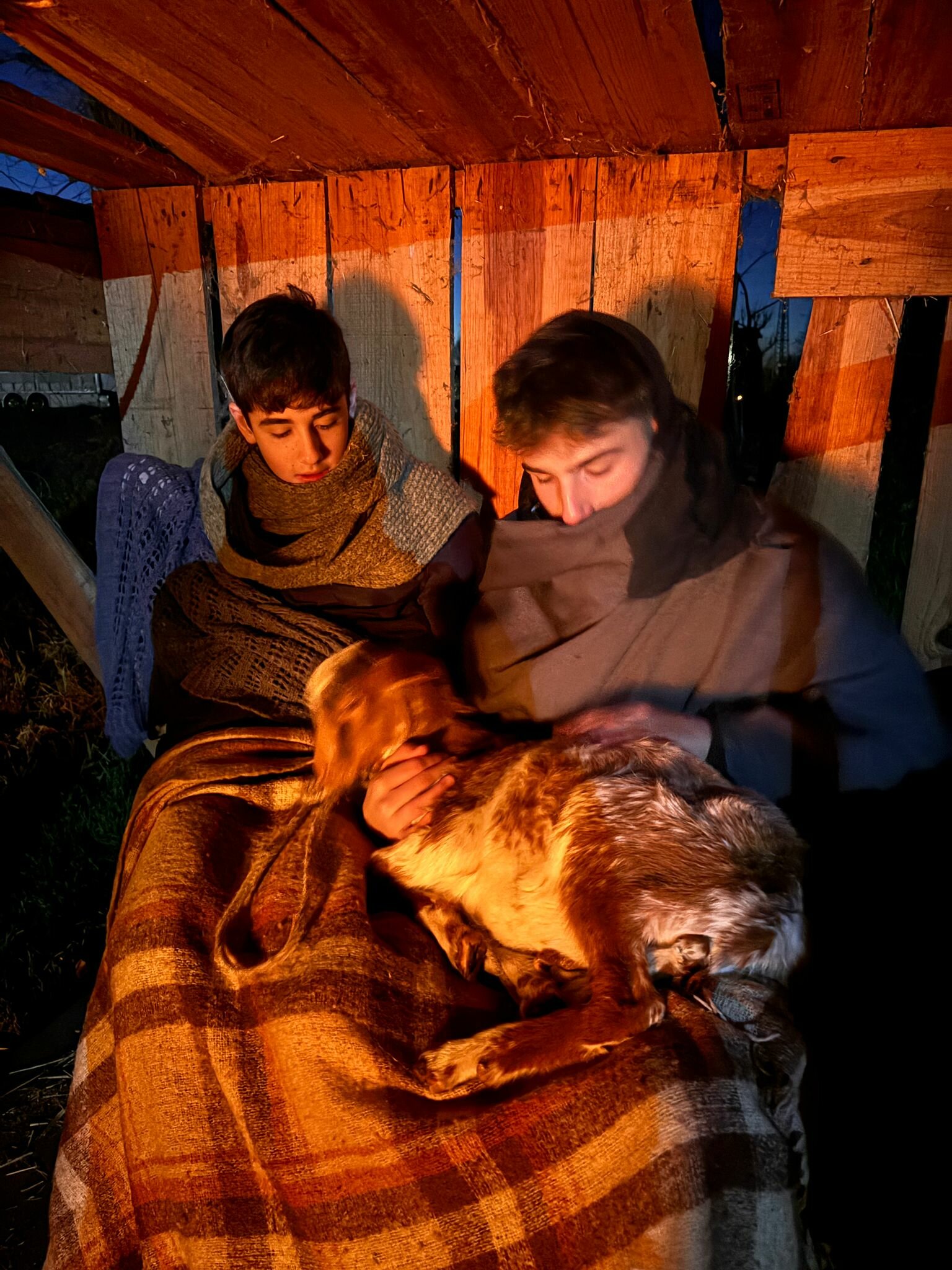 photo-2025-12-30-18-00-34-2.jpeg photo-2025-12-30-18-00-34-2.jpeg