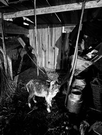 photo-2025-12-30-18-00-35 2.jpeg photo-2025-12-30-18-00-35 2.jpeg