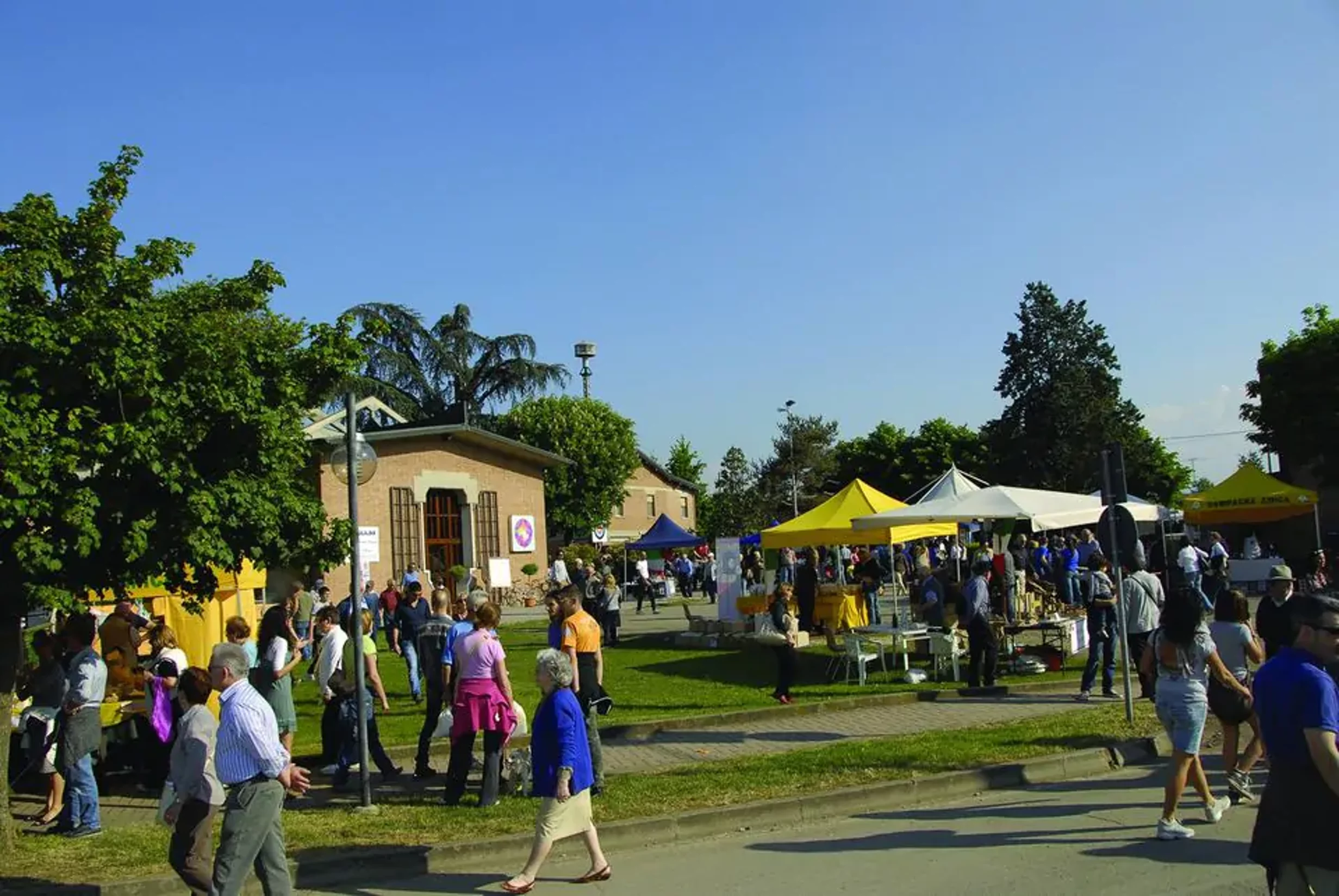 302129057_559761159275256_3413611695752018909_n-1