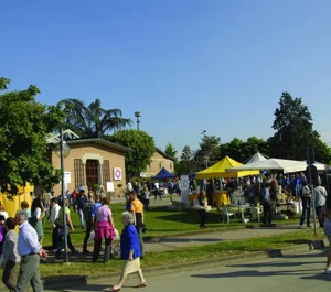 10153848_10152424039067094_4438346497492058046_n.webp 10153848_10152424039067094_4438346497492058046_n.webp