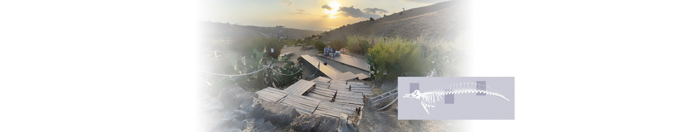 ventre della balena_slide01.jpeg