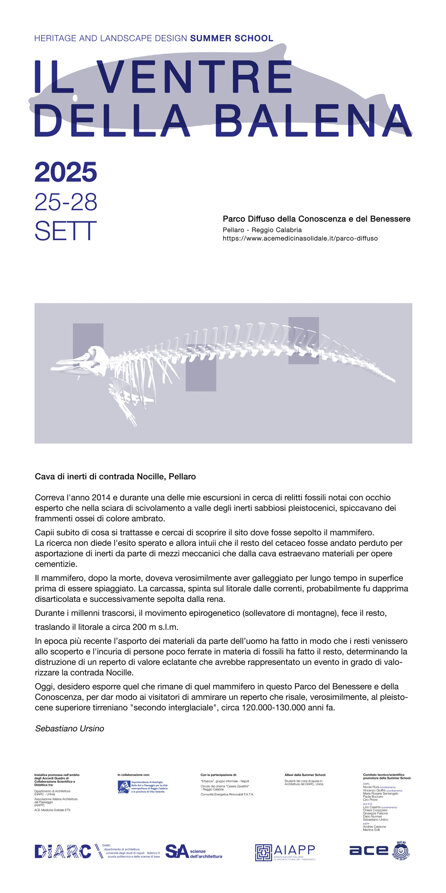 il ventre della balena - narrazione.jpeg