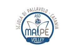 logo volley