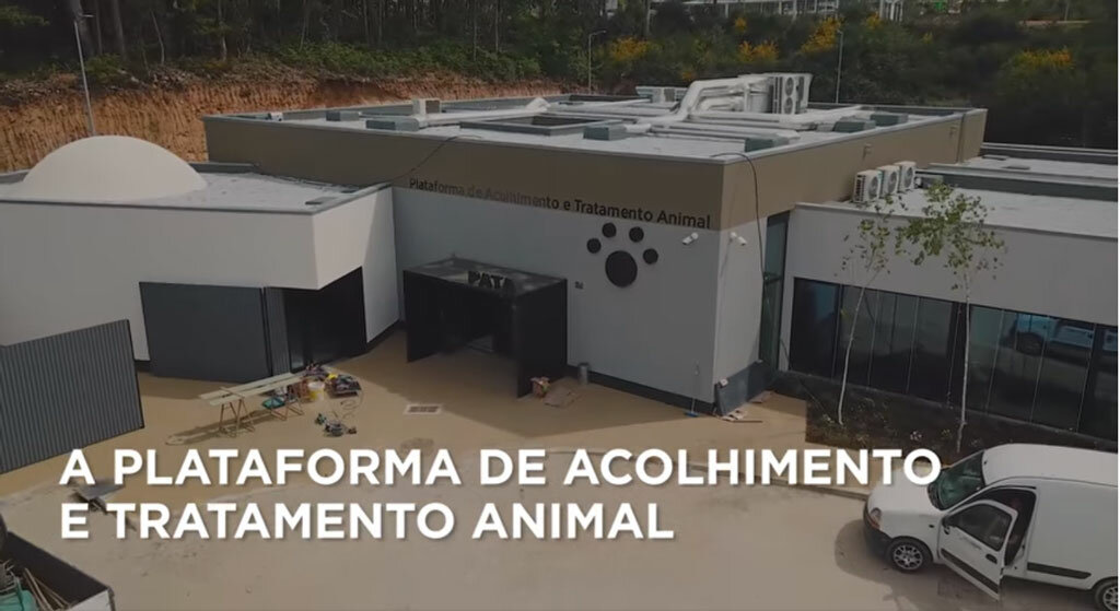 PATA
