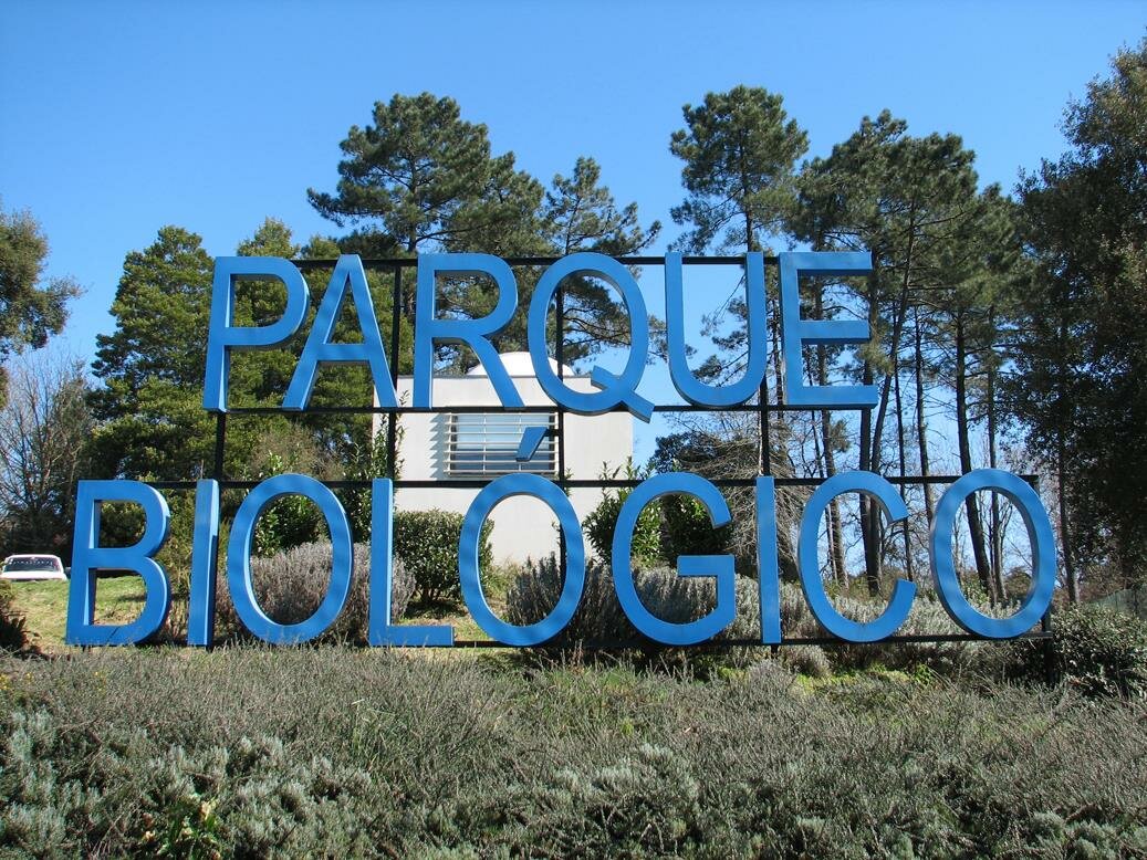 parque.jpeg
