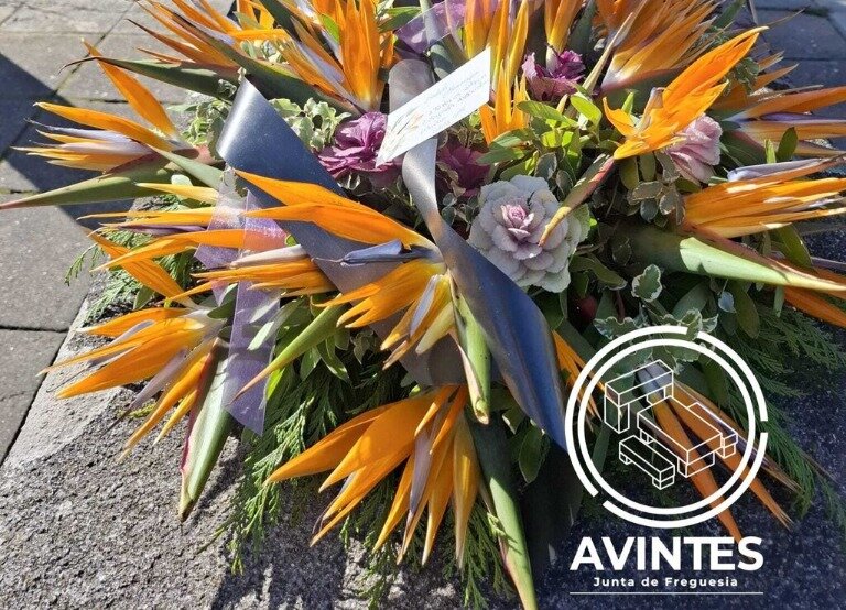 Romagem ao Cemit&eacute;rio de Avintes 2026