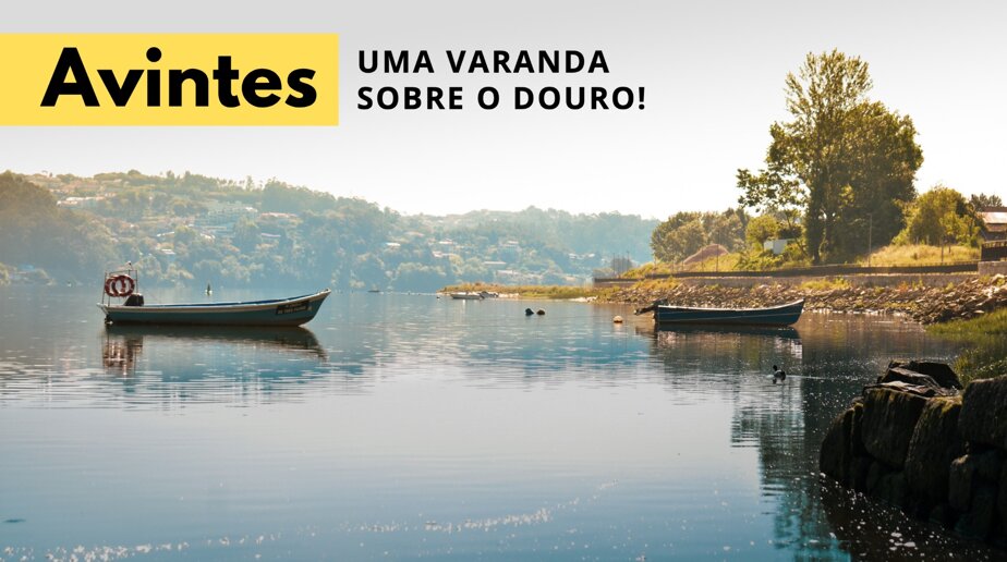 20396029643907547776223244002325172074651668n