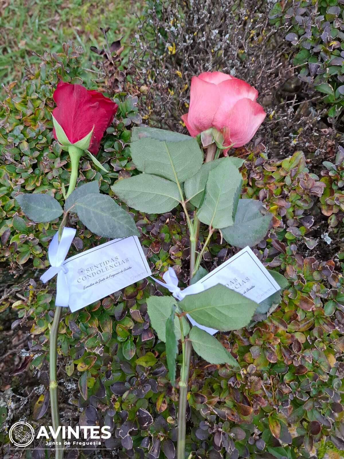 image-2026-01-02-at-10.19.50.jpeg image-2026-01-02-at-10.19.50.jpeg