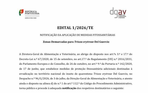 Edital n.º 1/2026/TE - Trioza erytreae Del Guercio (psila-africana-dos-citrinos)