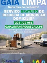 image_gaialimpa.jpeg