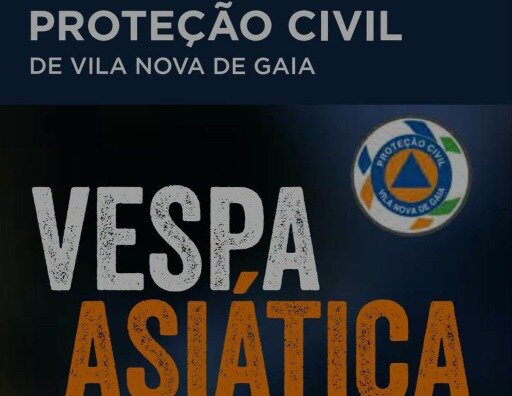 Prevenção e controlo da vespa-asiática (Vespa velutina) Prevenção e controlo da vespa-asiática (Vespa velutina)