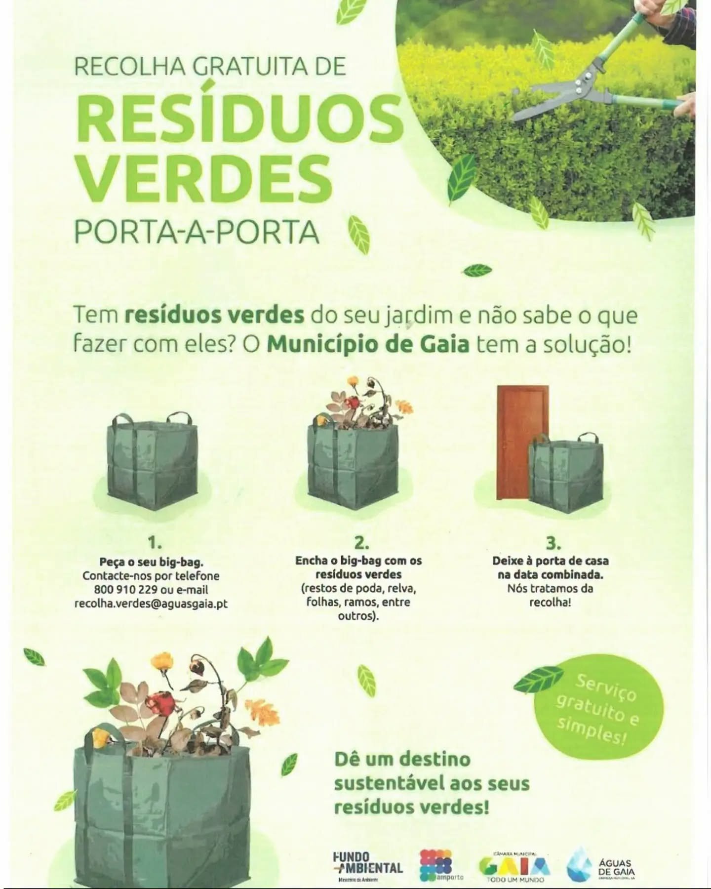 verdes.jpeg