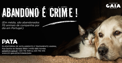 1065x549_194742730166953f2355761