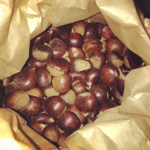 castagne-di-acerno-medie-biologiche-in-rete-di-pvc