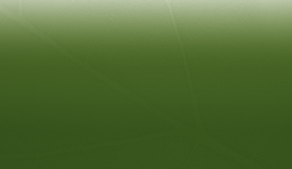 epizen - integratore alimentare PRM Factory