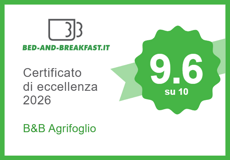certificato-eccellenza-5