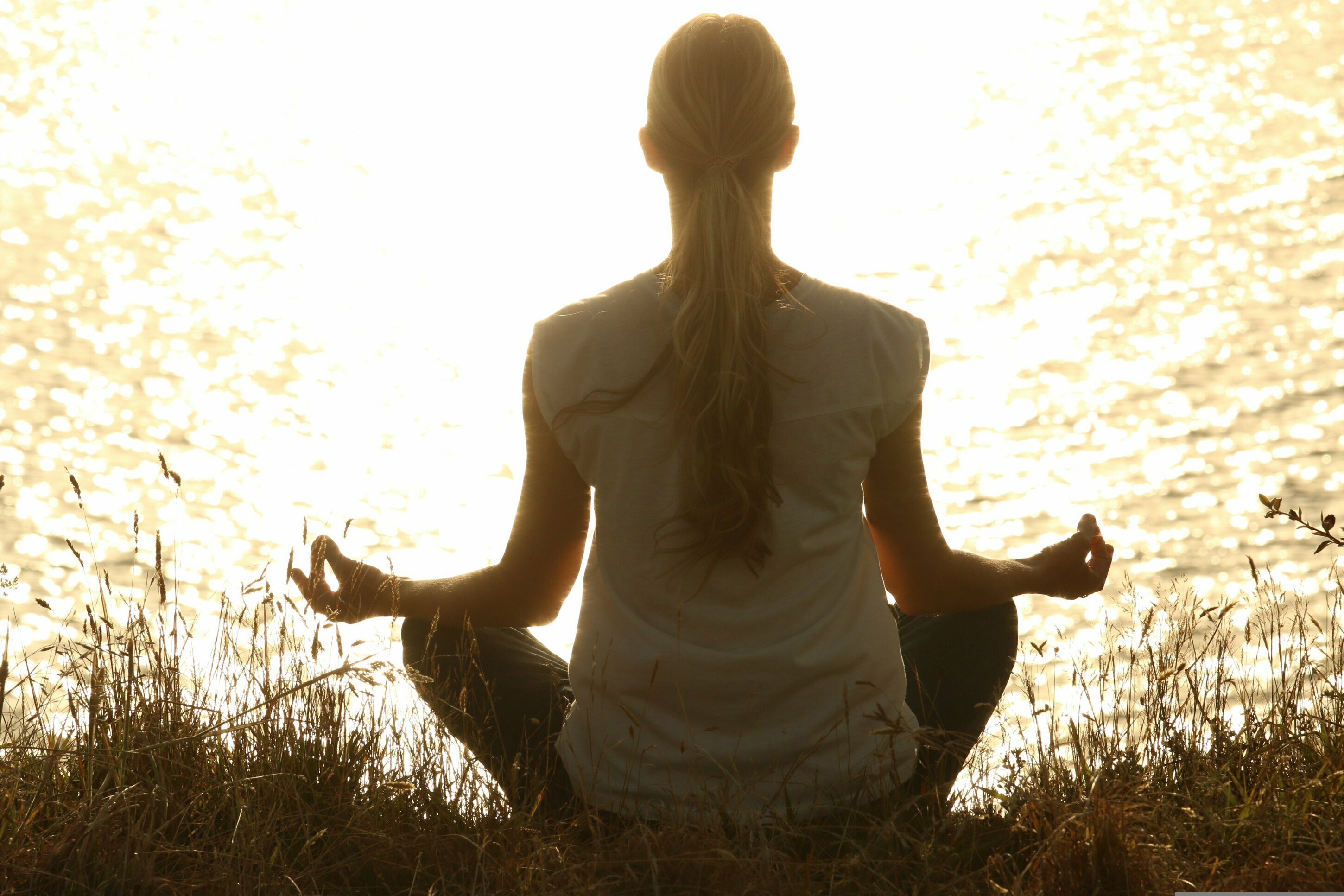 Blue Mind: The Science of Connection with Water and Its Transformative Power