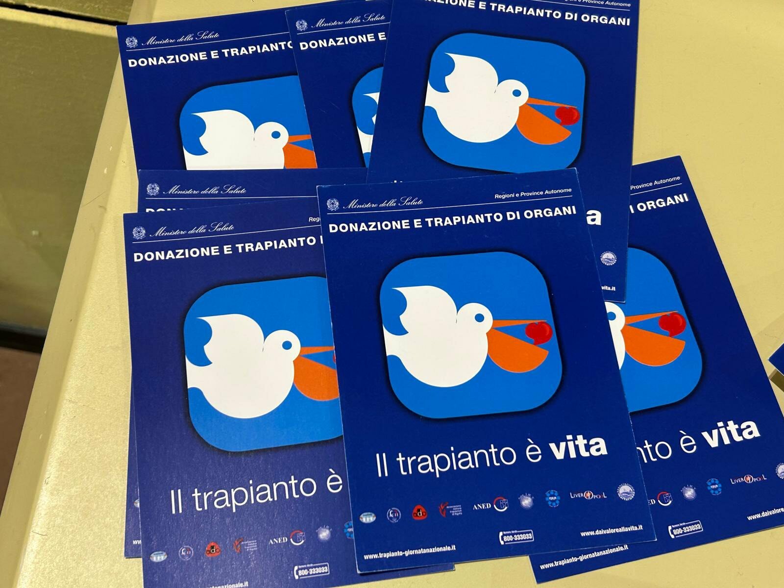 582429477_10225549968810889_5260342840275095412_n.jpeg 582429477_10225549968810889_5260342840275095412_n.jpeg