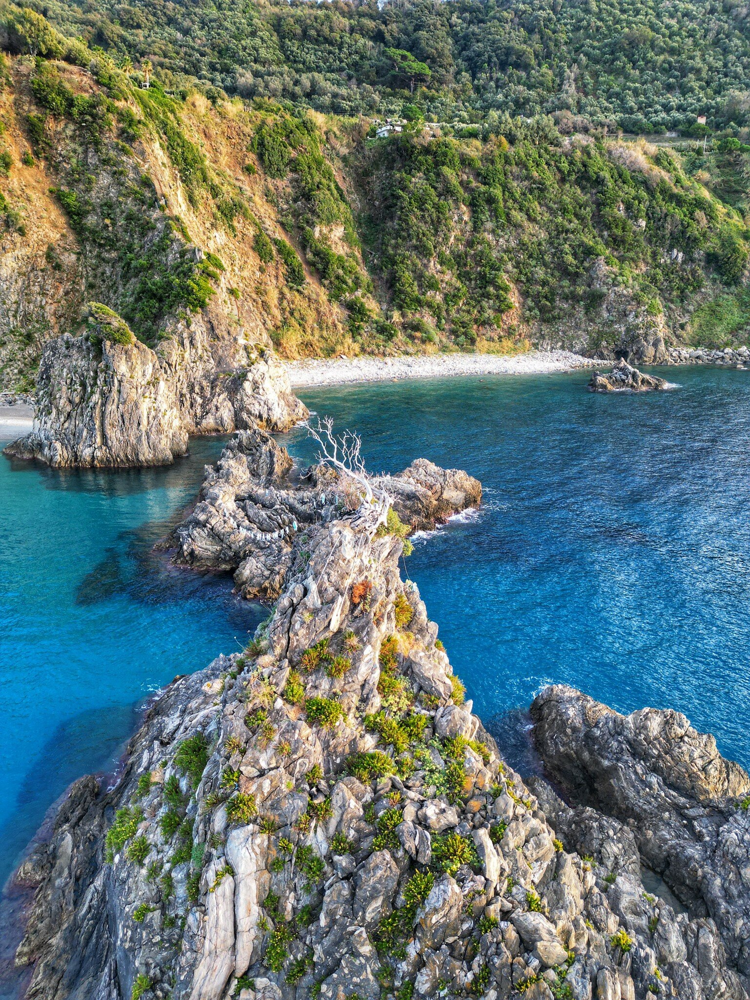 scoglio-dellulivo--carmelo-ranieri-ph.jpeg scoglio-dellulivo--carmelo-ranieri-ph.jpeg