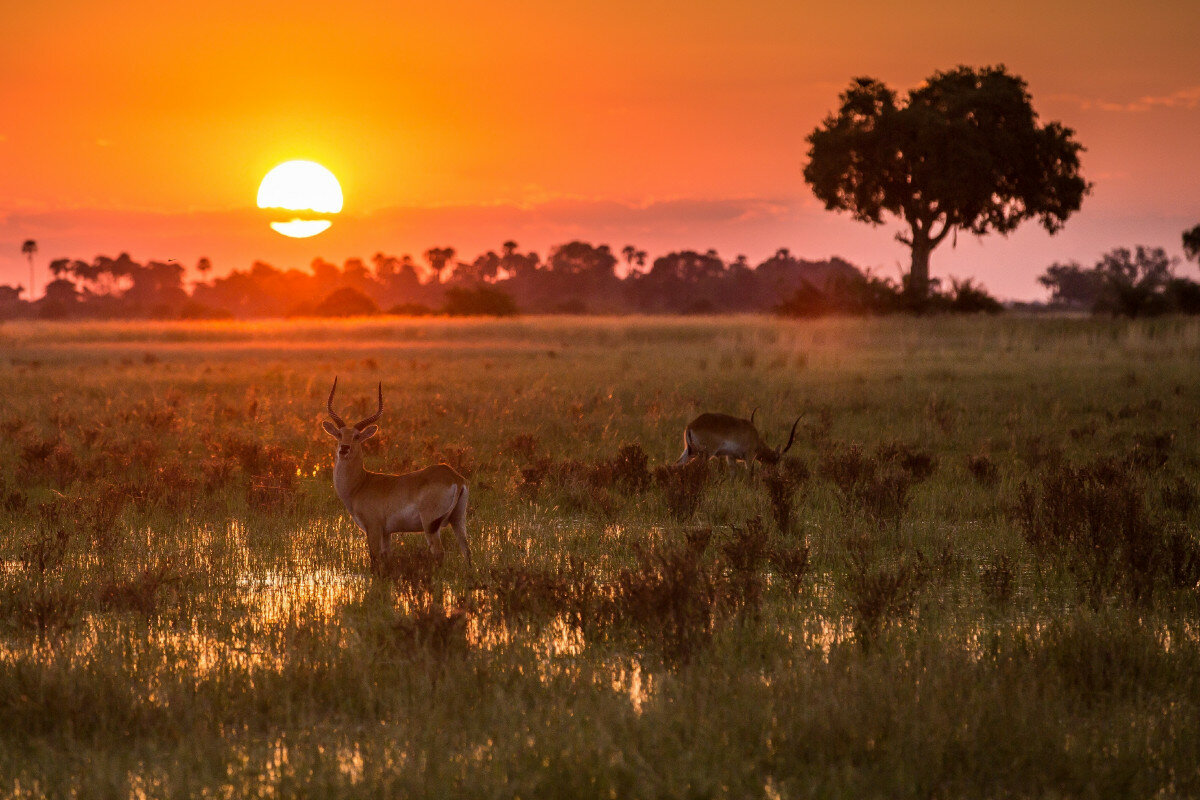 Namibia: in viaggio con l’arcobaleno