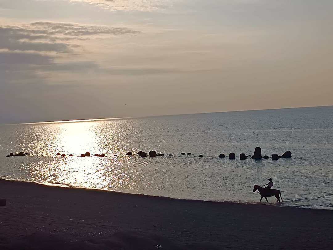 foto-cavallo.jpeg foto-cavallo.jpeg