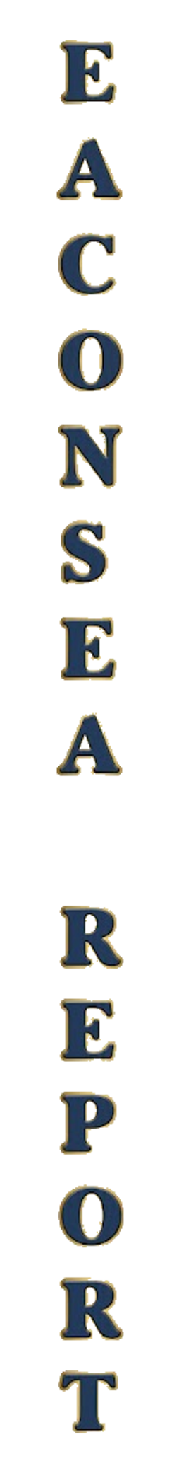 visual-element-eaconsea-report-text-graphics