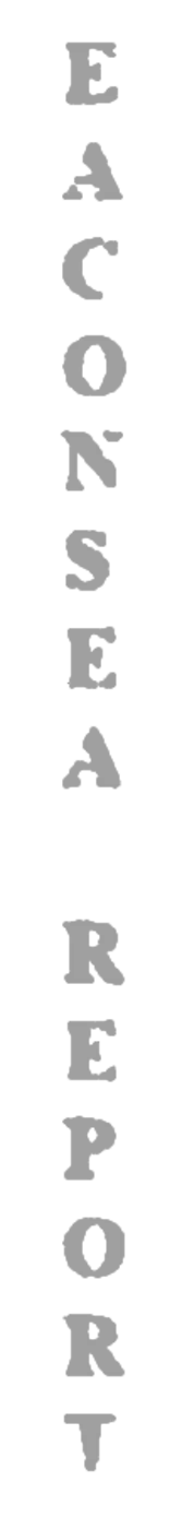 elemento-visuale-grafica-del-testo-eaconsea-report