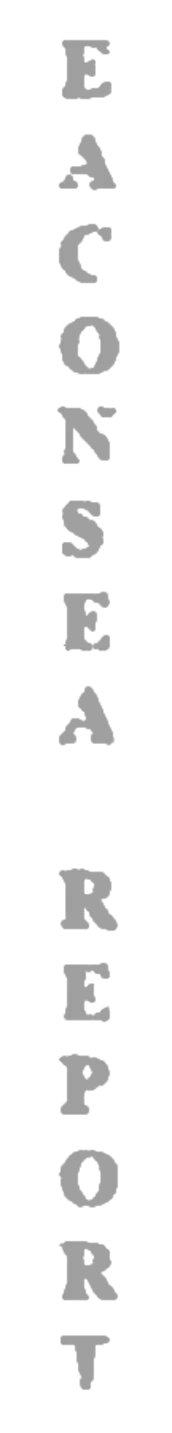 elemento-visuale-grafica-del-testo-eaconsea-report