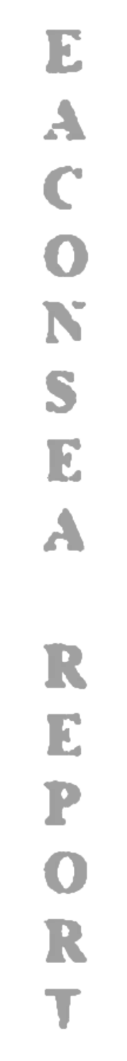 elemento-visuale-grafica-del-testo-eaconsea-report