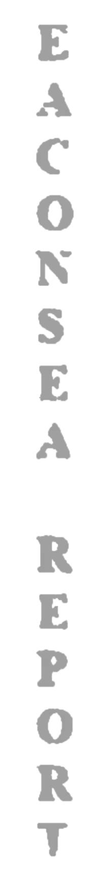 elemento-visuale-grafica-del-testo-eaconsea-report elemento-visuale-grafica-del-testo-eaconsea-report