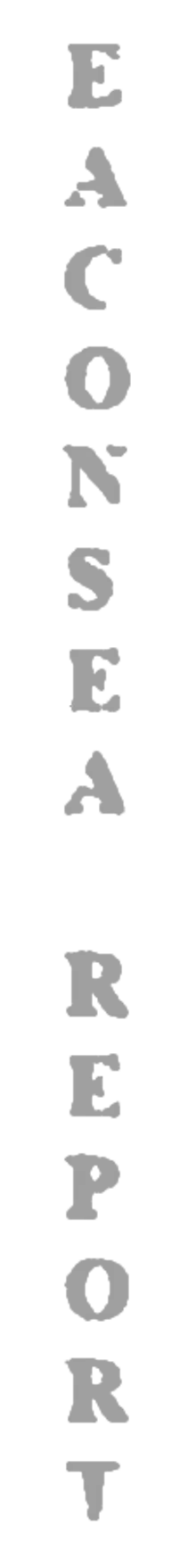 visual-element-eaconsea-report-text-graphics