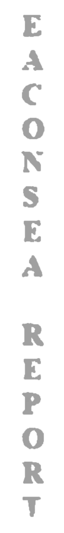 elemento-visuale-grafica-del-testo-eaconsea-report elemento-visuale-grafica-del-testo-eaconsea-report