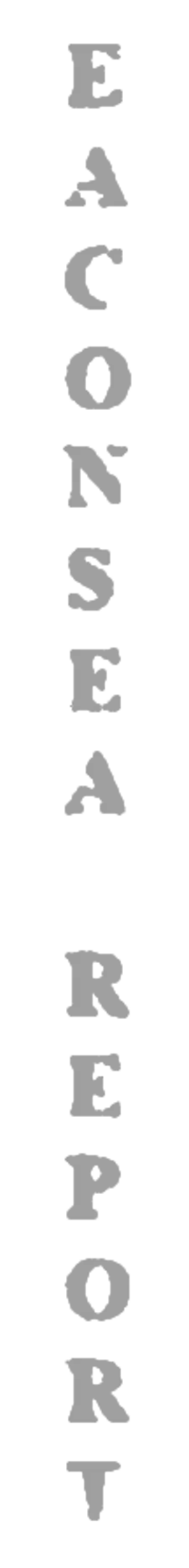 visual-element-eaconsea-report-text-graphics