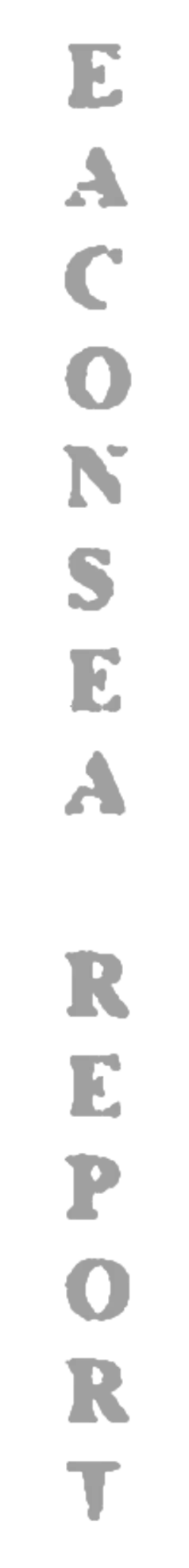 elemento-visuale-grafica-del-testo-eaconsea-report