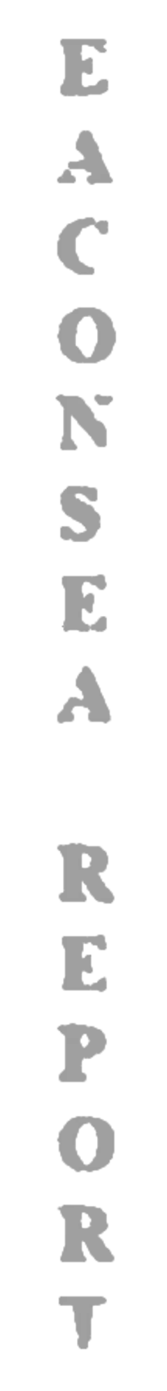 elemento-visuale-grafica-del-testo-eaconsea-report