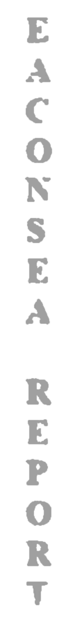 elemento-visuale-grafica-del-testo-eaconsea-report