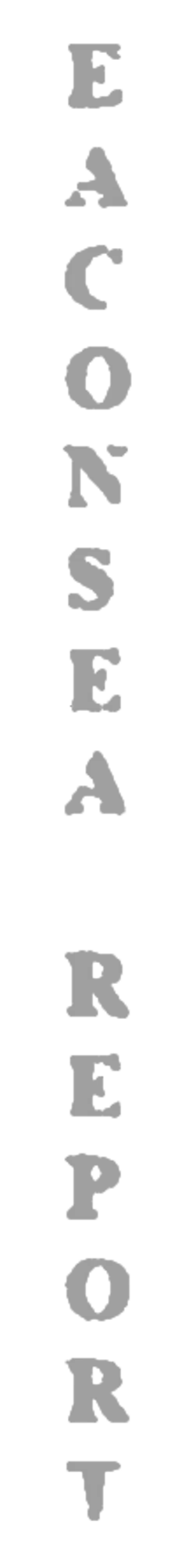 elemento-visuale-grafica-del-testo-eaconsea-report