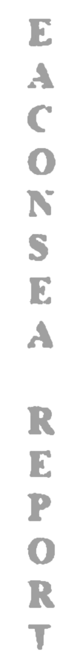 elemento-visuale-grafica-del-testo-eaconsea-report