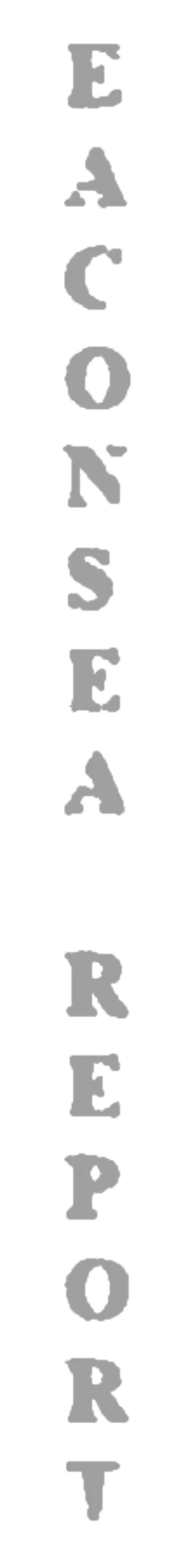 elemento-visuale-grafica-del-testo-eaconsea-report