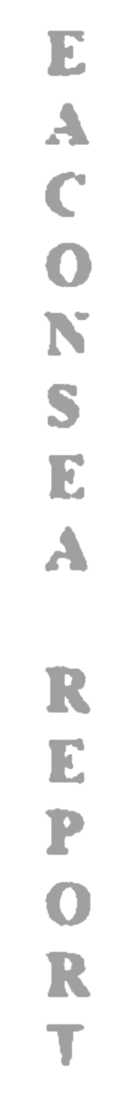 elemento-visuale-grafica-del-testo-eaconsea-report