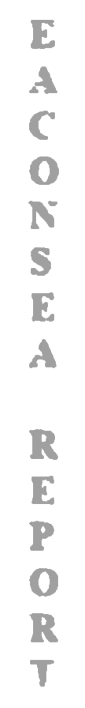 elemento-visuale-grafica-del-testo-eaconsea-report